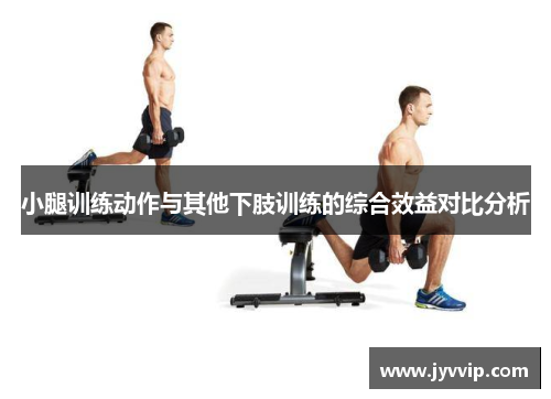 小腿训练动作与其他下肢训练的综合效益对比分析